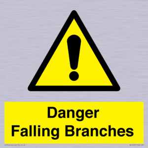 Danger Falling Branches